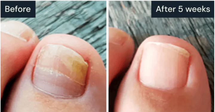 Review by - Esti C. Suffern, NY